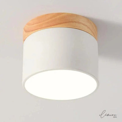 Luminária de Teto LED Sobrepor Nórdico